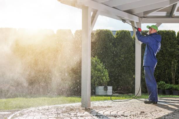 Best Spring Cleaning  in Buhl, ID